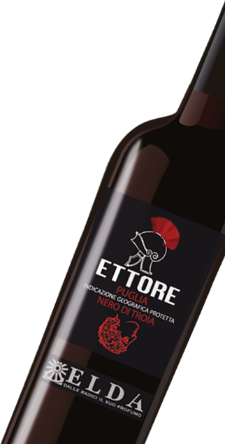 Dettaglio Ettore