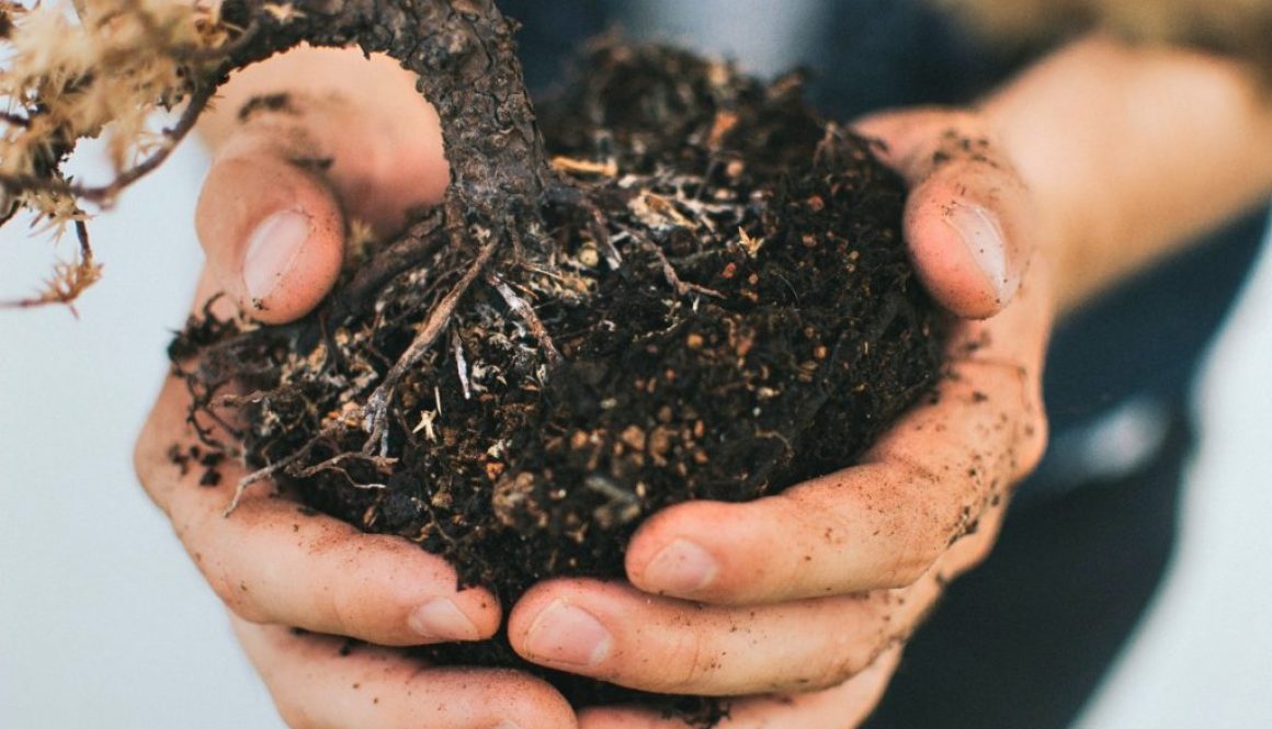 soil